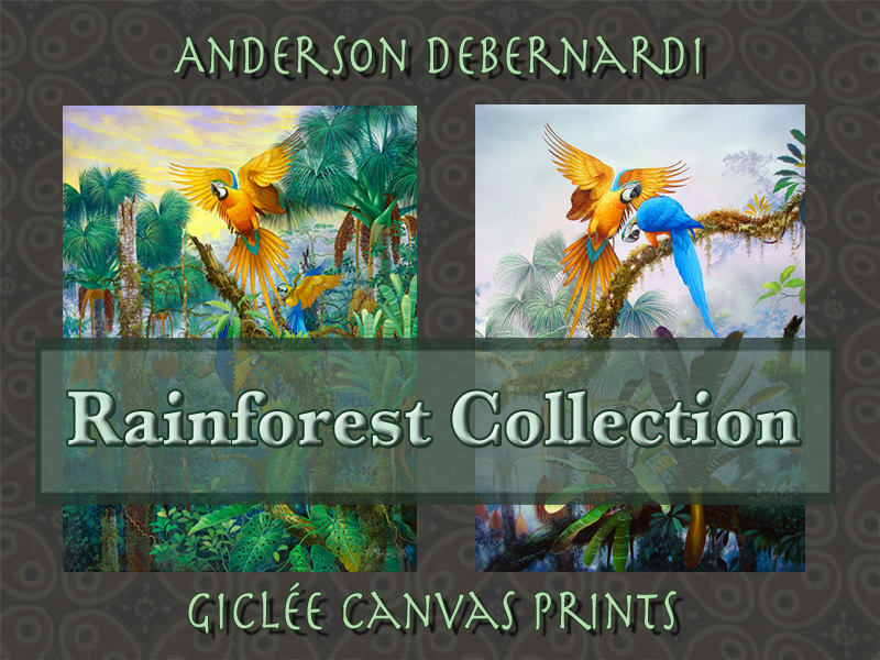 Debernardi Rainforest Collection